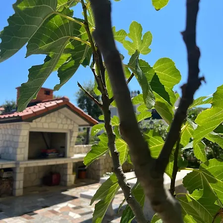 Διαμέρισμα The Yellow House